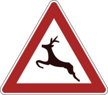 road sign of the danger of deer