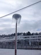 frozen lamp