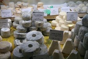 variety of cheeses on the shop counter