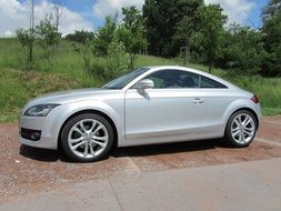 silver audi among nature