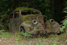 rusty car old in the moss in the forest