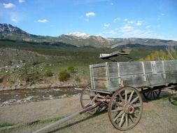 old wooden wagon in wilderness