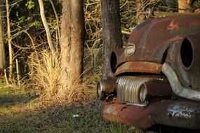 rusty abandoned car in the forest