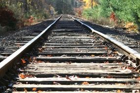 autumn foliage on the railroad tracks