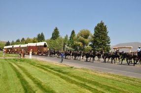 horse transportation in the west