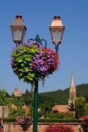 flowers on the street lamp