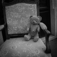 black and white photo of a teddy bear on a chair