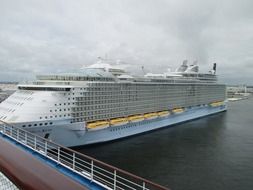 white cruise ship on the water