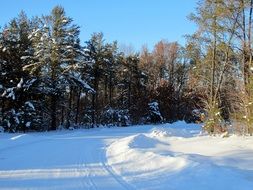 snow road lane