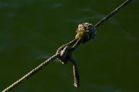 Knot of the ship