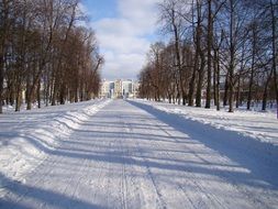 Alley in the Tsar's Village