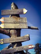 weathered direction signs on dry tree trunk