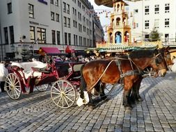 horses with a cart in the square