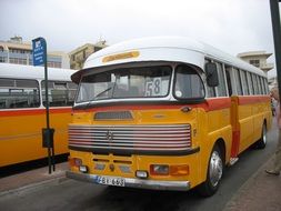 Bus in Malta