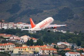 plane on forest island