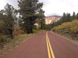 Yellow line on road