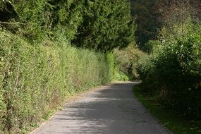 walkway among greenery, luxembourg, lellingen