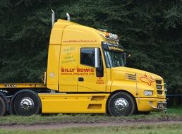 yellow truck near green trees