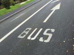 bus, white lettering on road