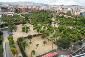 panorama of green park in barcelona