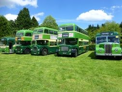 green buses on green grass