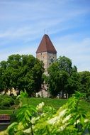 goose tower in Ulm