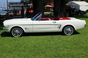 ford mustang oldtimer car on show