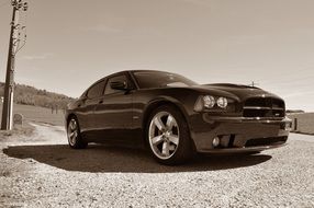 Vehicle in freedom