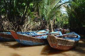 boats on brown water at palm trees, vietnam