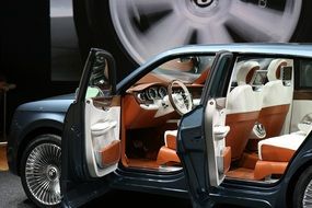 geneva auto show