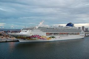 Cruise ship in the port of Miami