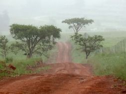 red earth road in South Africa