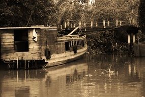 boat on the water under the bridge in the jungle