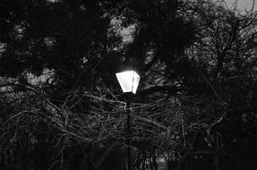 street lamp in black and white background