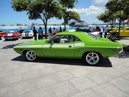 vintage green muscle car