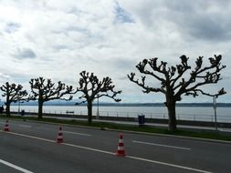 Coastal road with trees at side