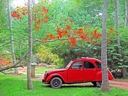 red vintage citroen car in beautiful park, india