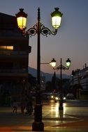 street lights in the night city