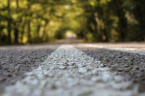 White markings on the road close-up