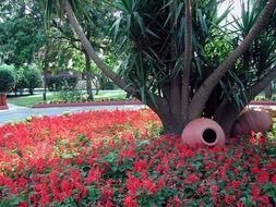 traffic junction in bright flowers