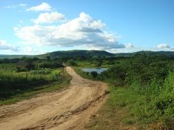 landscape of the rural road