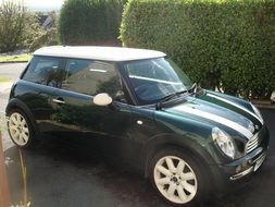 mini car in the park