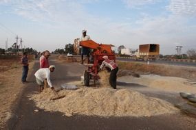 people at winnowing machine, india, karnataka