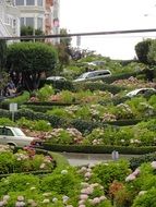 Curve road in san francisco