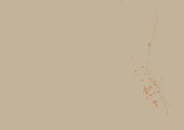 spattered wall brown paint