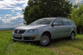 gray volkswagen on green grass among nature