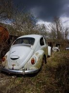 vw beetle auto classic