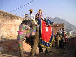 elephants - transport in India
