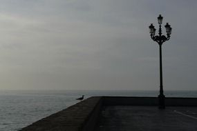 Street lamp and bird on the waterfront at dusk