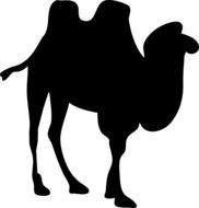 graphic image of a black silhouette of a camel